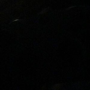 Meet your Posher, Jaylin